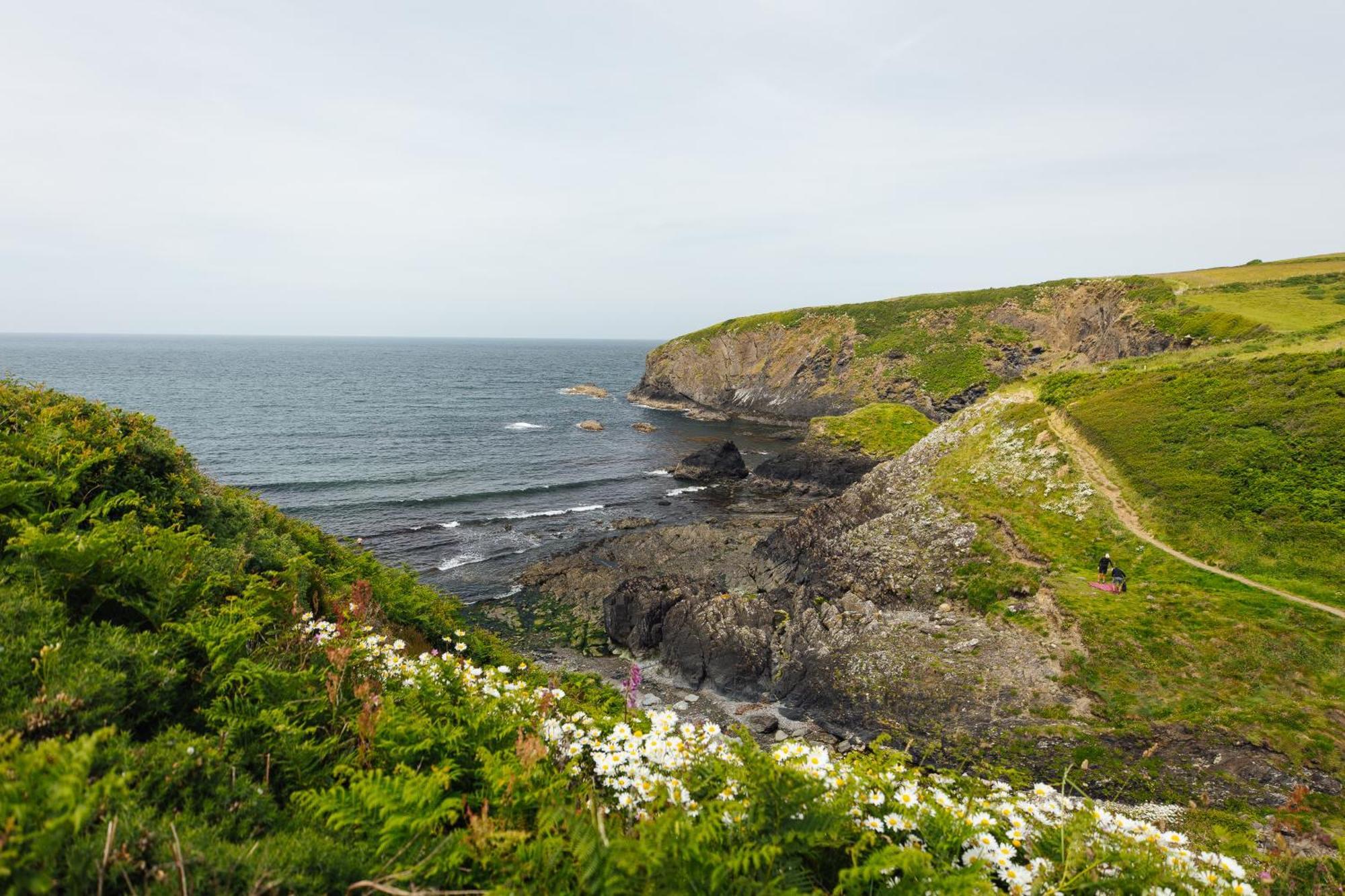 Cliff-Top Cottage On Coast Path W/Panoramic Views Trevine Exterior photo